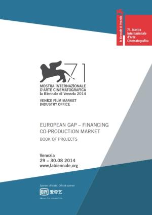 copertina venice gap financing market