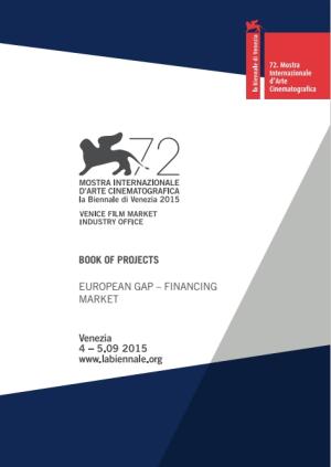 copertina venice gap financing market